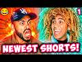 Try Not To Laugh MARK ADAMS NEWEST Funny Shorts 2026 P1