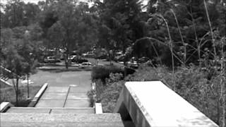 B&amp;W (Black Guitar by Blonde Redhead)