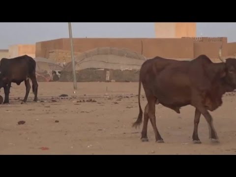 Mali, Attentat meurtrier à Gao