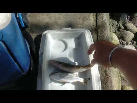 huli Namin sa bantilan