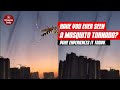 Mosquito Tornado In Pune Health Concerns In Pune With Rising Water Levels Pune News Today