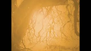 Golden Void - Sickle Clowns (The Pretty Things Cover)