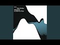 Salvation On Slavery Sins (Pole Folder Regenerated mix)
