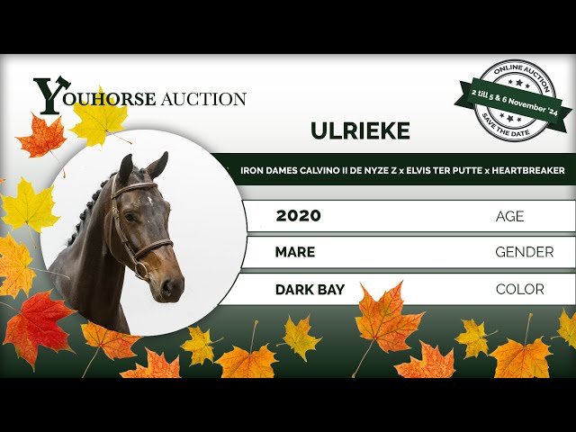 Ulrieke