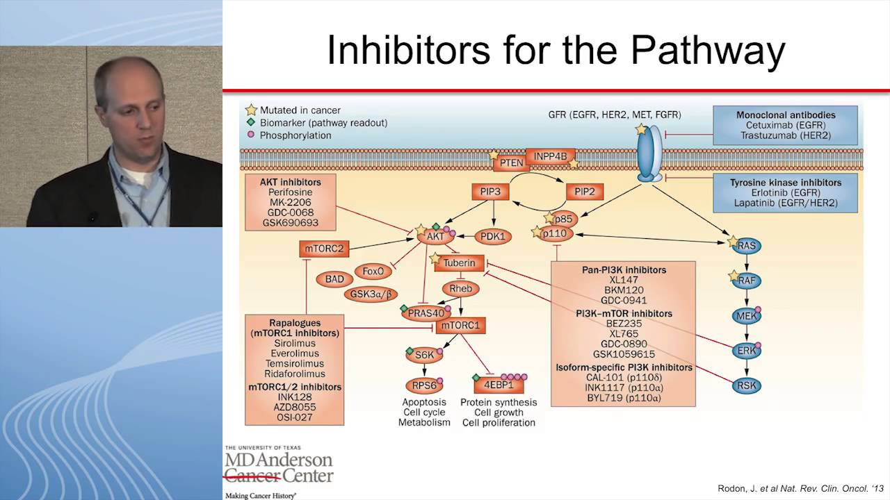 Targeting the PI3K-Akt-mTOR Pathway