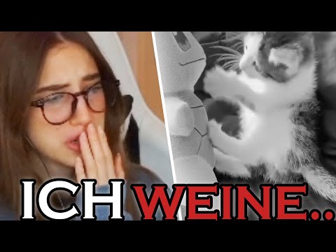 MIGUEL PABLO TÖTET seine KATZE! 😨 Ich weine..