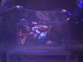 Believe The Impossible Magic Show Video Promo