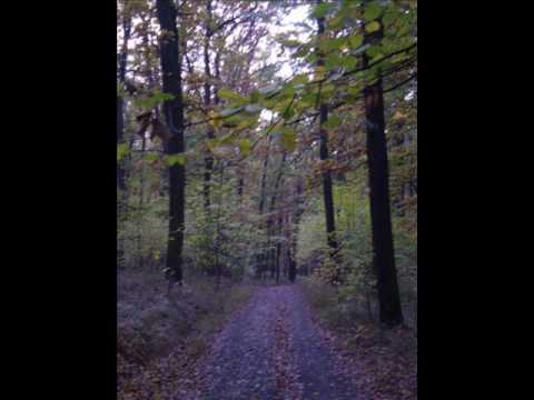 Vlasta Redl - Dvakrát