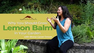 Why You Should Grow Lemon Balm in Your Garden