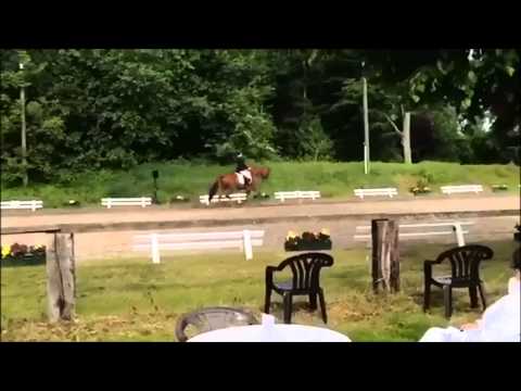 SIR HEINRICH OLD - Reitturnier Vorhelm Schäringer Feld 2015