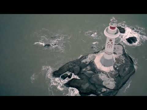 In cerca di risposte