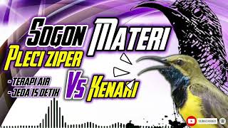 Download lagu MASTERAN SOGON MATERI PLECI ZIPER VS KENARI !!! #sogon #sogongacor #sogokontong #sogokontonggacor mp3 Download lagu MASTERAN SOGON MATERI PLECI ZIPER VS KENARI !!! #sogon #sogongacor #sogokontong #sogokontonggacor mp3