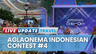Melihat Antusias Masyarakat dalam Aglaonema Indonesian Contest (AIC) #4 di Pakuwon Mall Yogyakarta