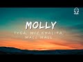 TYGA, WIZ KHALIFA, MALL Y MALL - MOLLY LYRICS VIDEO