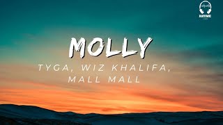 TYGA, WIZ KHALIFA, MALL Y MALL - MOLLY LYRICS VIDEO