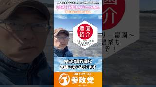 【参政党】安田しんの休日｜家族と農作業。一歩ずつ、確実に。[ブルーベリー農園の挑戦]｜参政党 第10支部/文京区・豊島区