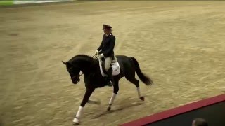 Isabell Werth et Descolari, vainqueurs du Saint Georges de Donaueschingen