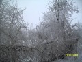 Поль Мариа Память(Memory) 