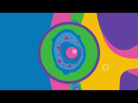 Anti-TNF: How it works