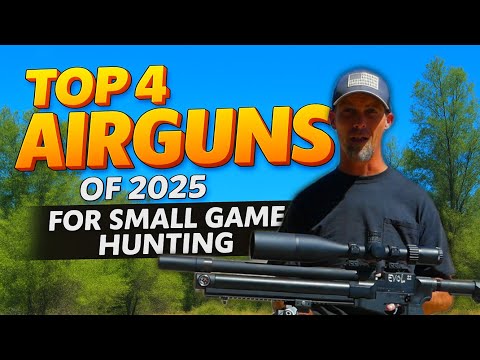 Top 4 Airguns of 2025 for Small Game Hunting | Field-Tested & Rated!