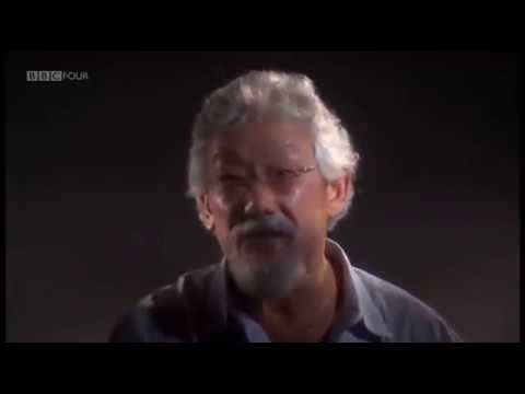 David Suzuki - Economics Is A Form Of Brain Damage
