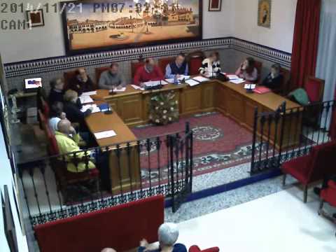 2014 Pleno de noviembre
