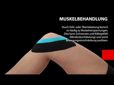 Krankheits Ellbogen- und Schultergelenke Gelenke bei Hunden Prävention