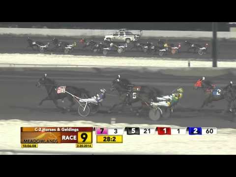 February 20, 2014 - Race 9 - Majestic Stone