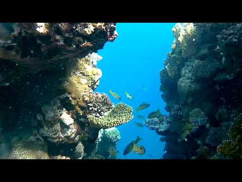 20170108 125817A   Trim