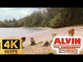 Alvin And The Chipmunks Chipwrecked 2011 Survivor 4K 60FPS