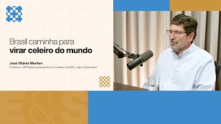 Brasil caminha para virar celeiro do mundo