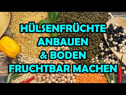 Hülsenfrüchte bzw Legiminosen anbauen in Deutschland bzw deinem eigenem Garten
