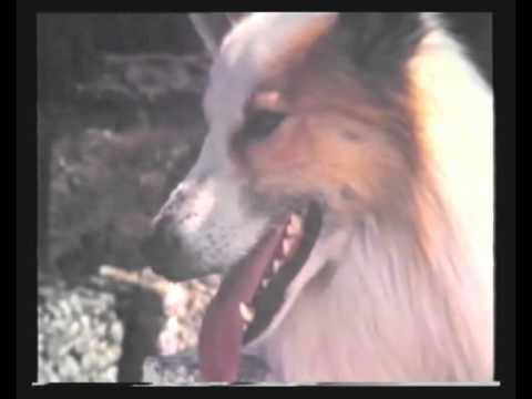 Pictures of sommer 1992