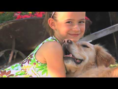 Video: Good Morning Suncoast at 5am - November 12, 2018