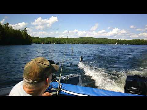 Homes on Great Pond Lake in Maine