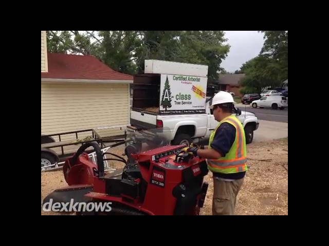 A-Class Tree Service - Colorado Springs, CO