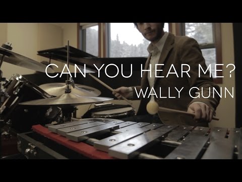 Wally Gunn - Can You Hear Me? (Part I)