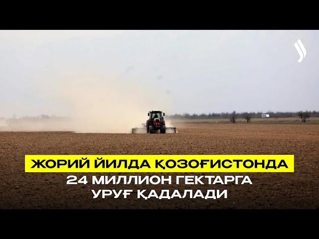 Жорий йилда Қозоғистонда 24 миллион гектарга уруғ қадалади