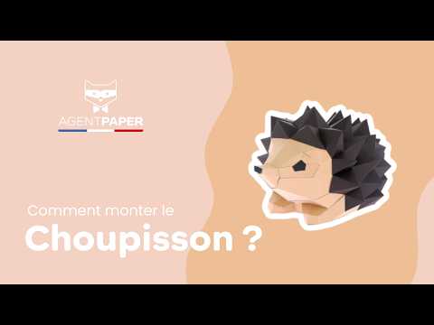 Choupisson - vidéo de présentation