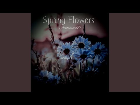 Spring Flowers
