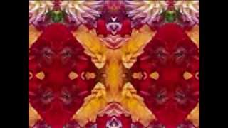 flower love grenades (455 Rocket by Gillian Welch and David Rawlings)