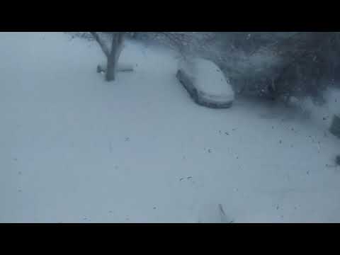 KrabbyVlog #15 - SNOWWWW