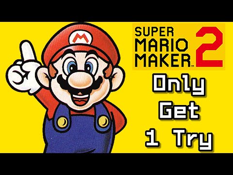 Super Mario Maker 2 but you only get one try