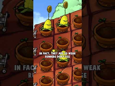 How Do PvZ Speedrunners Beat the Hardest Level?