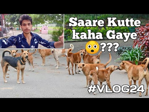 Saare Kutte Kaha Gaye😲??? || Pratyaksh Vlogs  #vlogs #vlogging #dogs #saveanimals #trending