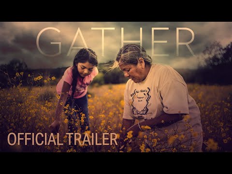 Play Video Youtube Video