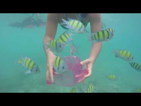 2017 07 Thailand Trip