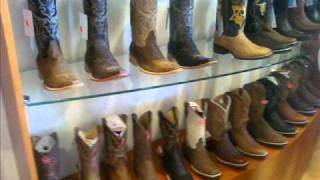 complices en el desmadre- Remmy valenzuela [OFICIAL]