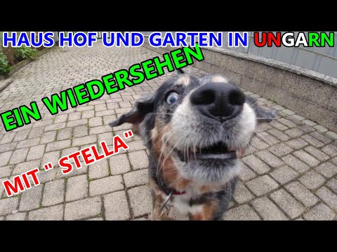 Ein Wiedersehen mit Stella