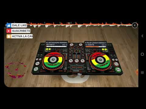 LA PROPIA PELEA  CON  PERREO